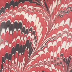 Marbled Paper from India- Red, Black, and White Feathers 22x30" Sheet