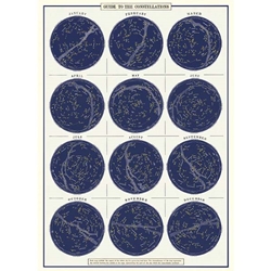 Cavallini Decorative Paper - Constellations 20"x28" Sheet
