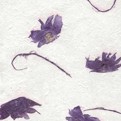 Thai “Angel Wings” Flying Seed – Deep Violet 22x30" Sheet