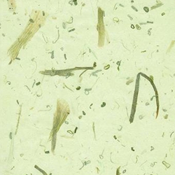 Green Onion Paper- 25x37 Inch Sheet