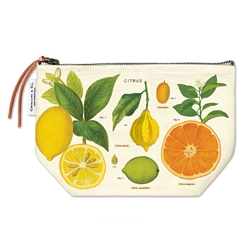 Cavallini Vintage Pouch- Citrus