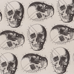 Rossi Limited Edition Letterpress Paper- Skulls 20x28" Sheet