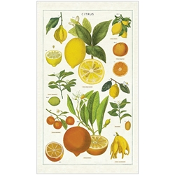 Cavallini Tea Towel- Citrus