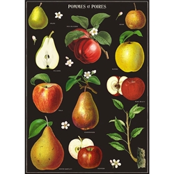 Cavallini Decorative Paper - Apples & Pears 20"x28" Sheet