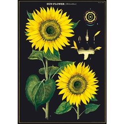 Cavallini Decorative Paper - Sunflower 20"x28" Sheet