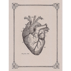 Rossi Limited Edition Letterpress Gift Card- The Heart