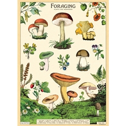 Cavallini Decorative Paper - Foraging 20"x28" Sheet