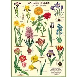 Cavallini Decorative Paper - Garden Bulbs 20"x28" Sheet