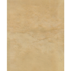 Natural Animal Skin Parchment- Deer 8x10 Inch Sheets