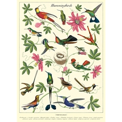 **NEW!** Cavallini Decorative Paper - Hummingbirds 20"x28" Sheet