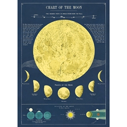 Cavallini Decorative Paper - Moon Chart 20"x28" Sheet