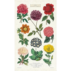 Cavallini Tea Towel- Botanica