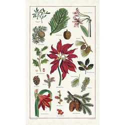 Cavallini Tea Towel- Christmas Botanica