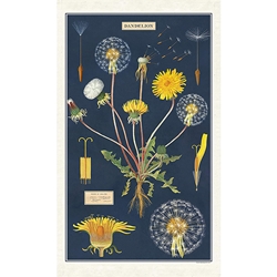 Cavallini Tea Towel- Dandelion