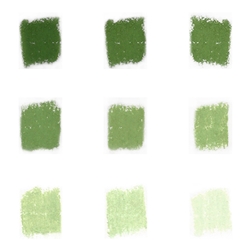 Roche Pastel Values Set of 9- Fern Green 5470 Series