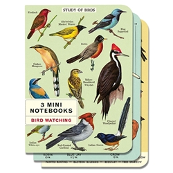 Cavallini Bird Watching Mini Notebook Set