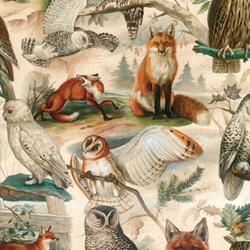 Bomo Art Budapest Papers- Fox and Owl 27.5 x 39 inch Sheet