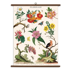 Cavallini Vintage School Chart- Floreale