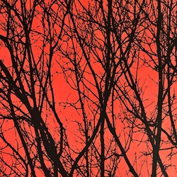 Nepalese Printed Paper- Landscape Tree Black on Red 20x30" Sheet