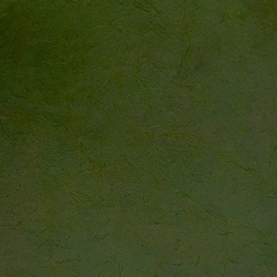 Nepalese Lokta Paper- Asparagus 20"x28" sheet