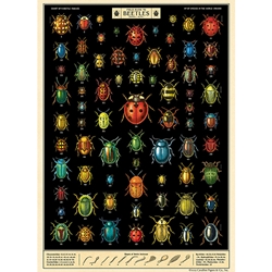 **NEW!** Cavallini Decorative Paper - Field Guide to Beetles 20"x28" Sheet