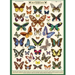 **NEW!** Cavallini Decorative Paper - Field Guide to Butterflies 20"x28" Sheet