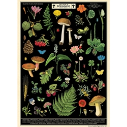 **NEW!** Cavallini Decorative Paper - Field Guide to Foraging 20"x28" Sheet