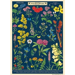 **NEW!** Cavallini Decorative Paper - Field Guide to Wildflowers 20"x28" Sheet