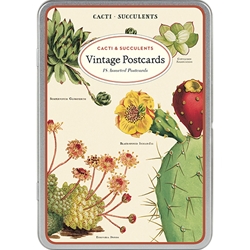 Cavallini Vintage Postcards- Cacti & Succulents
