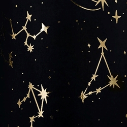 Zodiac- Gold Foil on Black 21x29" Sheet