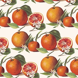 "NEW!!" Tassotti Paper - Oranges 19.5"x27.5" Sheet