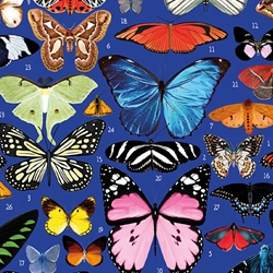 "Butterflies on Blue" rolled wrap by Mary Katrantzou 27" x 8' roll