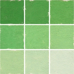 Roche Pastel Values Sets of 9 - Cadmium Green 5690 Series