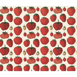 Rossi Decorative Paper from Italy- Strawberries 28x40 Inch Sheet