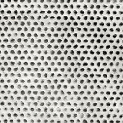 Honeycomb-White 25"x37" Sheet