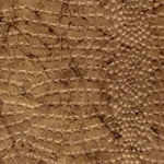 Alligator/Crocodile/Lizard Embossed Papers