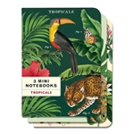 Fineartstore.com - Cavallini Notebooks