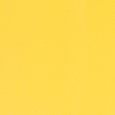 Maimeri Puro Oil Colors