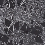 Skeletal Leaves Paper- Silver Leaves on Black Paper 20x30" Sheet