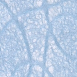 Ukigumo Lace Paper