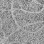 Ukigumo Lace Paper