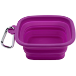 Silver Brush Cleaning Essentials