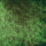 Daniel Smith Hand-Poured Watercolor Half Pans