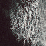 Daniel Smith Hand-Poured Watercolor Half Pans