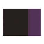 Holbein Artists Oil Color