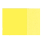 Holbein Artists Oil Color