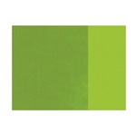 Holbein Artists Oil Color