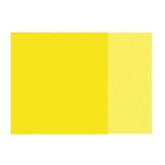 Holbein Artists Oil Color