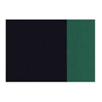 Holbein Artists Oil Color