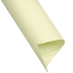 Hahnemuhle Mould-Made Ingres Pastel Paper Pack of 25 Sheets- Ivory